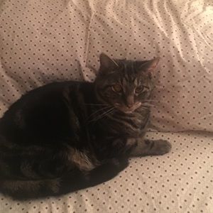 Meet your Posher, Heather